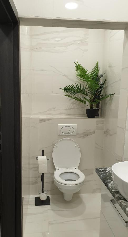 Belvarosi Apartman 2 Appartement Miskolc Buitenkant foto